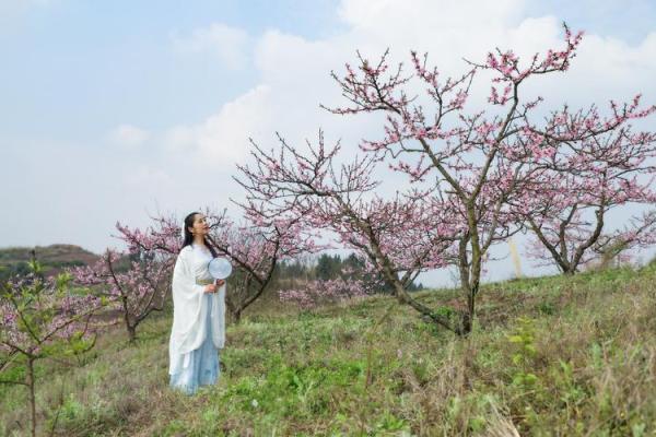男命双桃花，感情中的风波能否平静如初？