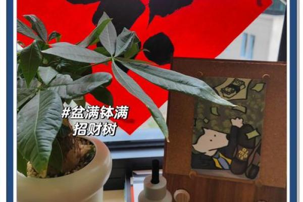 风水招财宠物助你财运亨通的秘密揭秘