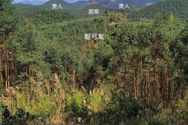 如何根据相法挑选阴宅与墓地风水