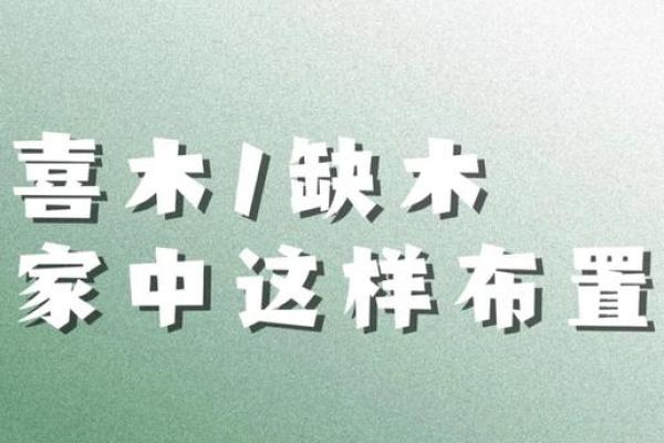 如何选择适合的入门脚垫风水提升家居气场