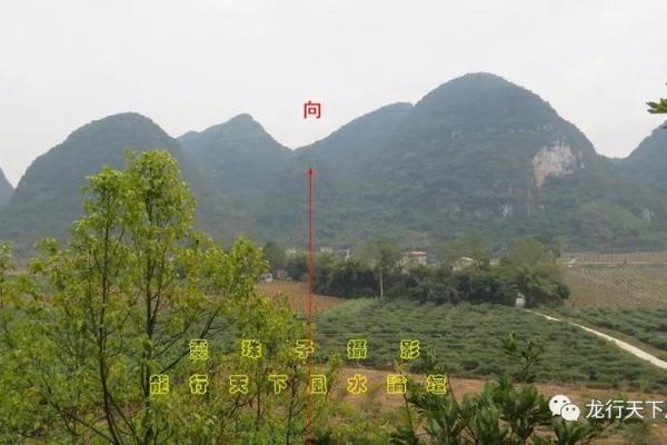 探索石山风水对家居和办公环境的影响