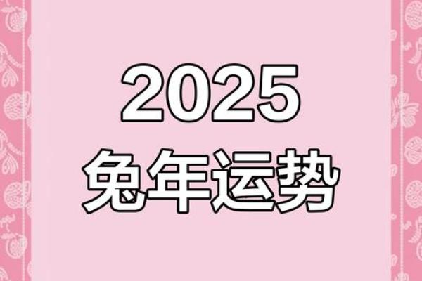 属兔人的财运与健康运势分析