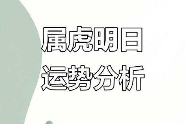 生肖虎今日运势预测：一切准备好迎接新机遇