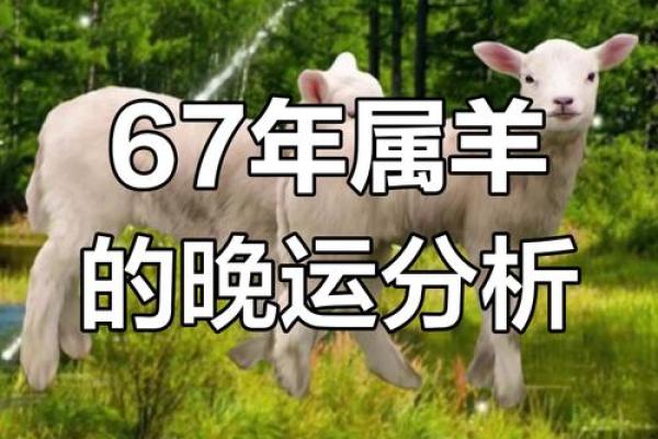 鼠羊人运势趋势预测：需防范哪些潜在风险