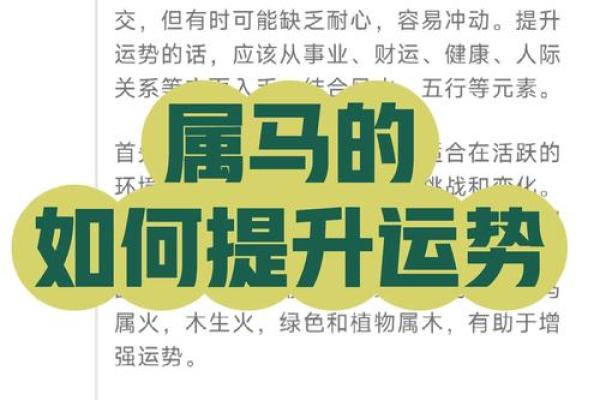 属马人的幸运月份与重要时机