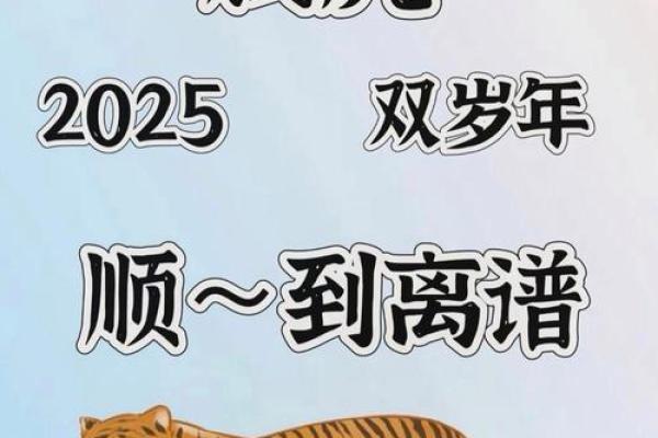 本命年虎男的财运提升技巧
