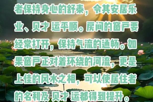 如何利用象风水提升家庭运势与和谐