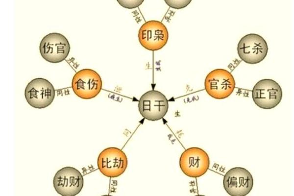 探索八字与生肖：如何依据命理预测个人运势