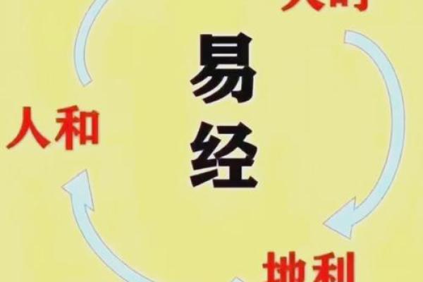 探索八字与生肖：如何依据命理预测个人运势