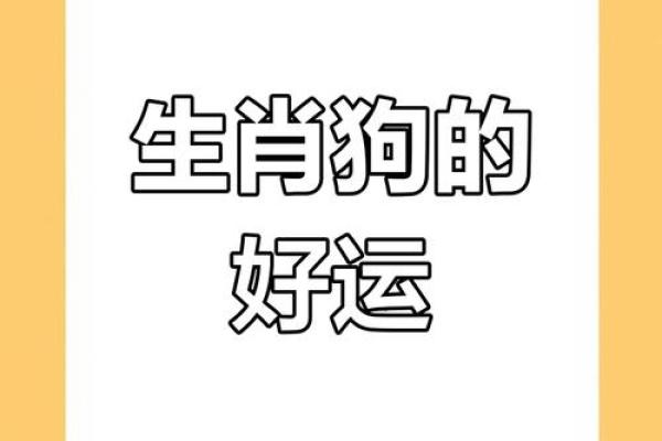属狗运势预测：如何化解不利因素迎接好运