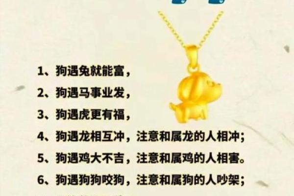 属狗运势预测：如何化解不利因素迎接好运