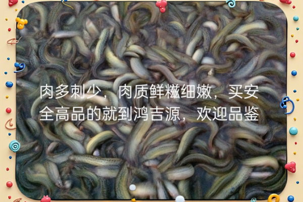 泥鳅的运势分析：挑战与机遇并存