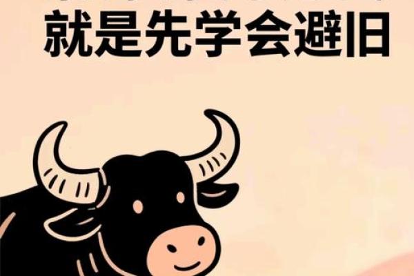 本命年属牛人如何通过改变走出低谷