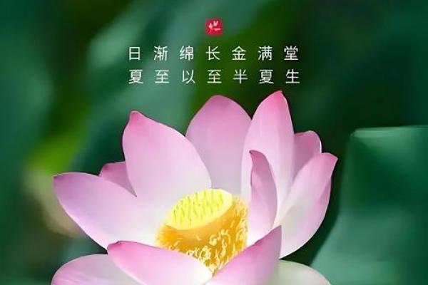 农历：揭秘这一天背后的历史奇迹
