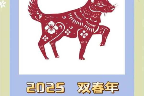 提升运势：属狗人应选择的理想楼层