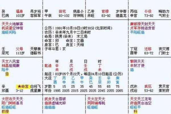 紫薇与八字结合解析：如何通过八字看紫薇命运走向