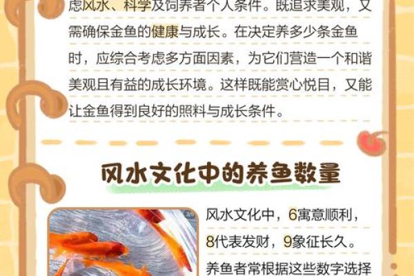 办公室养鱼风水布局提升事业运势的秘诀