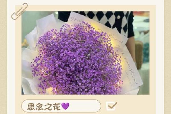 探寻紫色名字背后的深厚文化