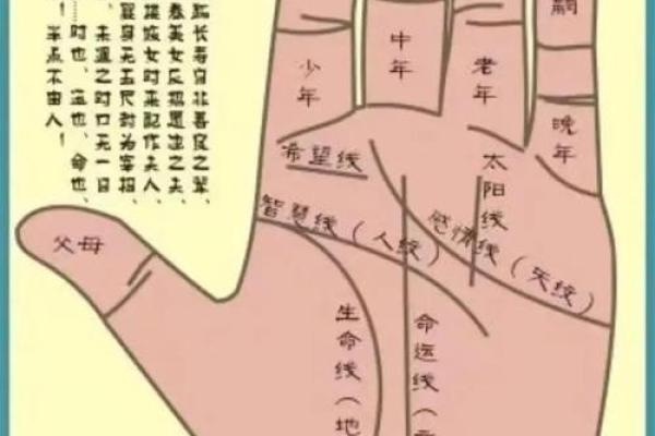轻松解读八字，免费算命让你掌握未来