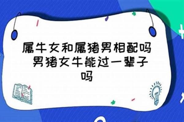 属猪女和属牛男：一段稳重与温和的结合