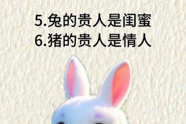 属猪女和属牛男：一段稳重与温和的结合