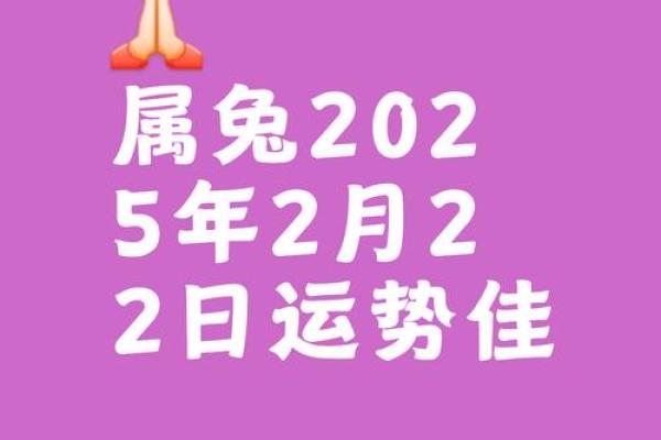 今日生肖兔运势分析：机遇与挑战并存
