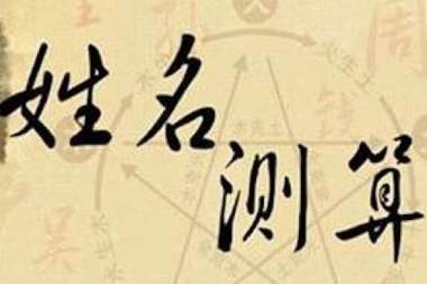 如何通过免费工具测名字打分，获得精准姓名解析