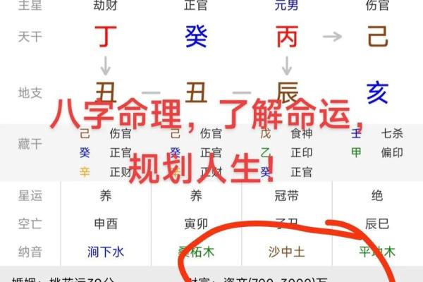 根基八字：掌握命运的第一步，了解你的命格特点
