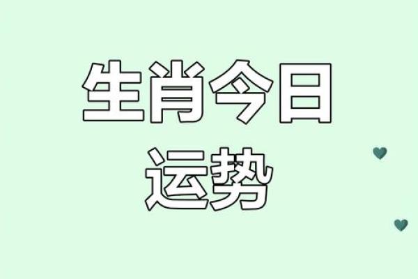生肖运势指南：本周哪些生肖能有意外收获？
