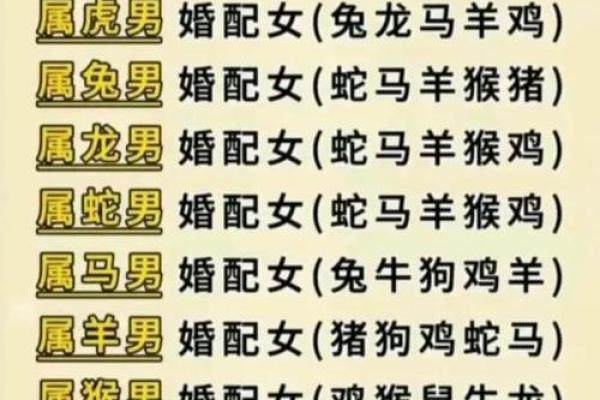 属牛男与属猪女的爱情运势如何