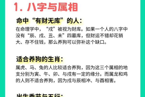 属狗人的办公室风水布局注意事项