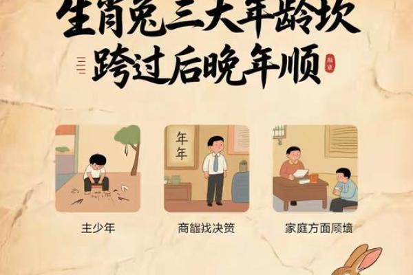 本命年属兔如何与他人保持良好的合作关系