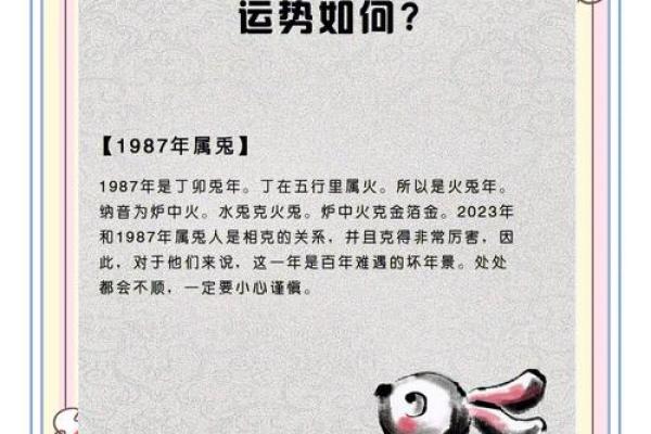 本命年属兔如何与他人保持良好的合作关系