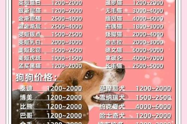 让你的宠物与众不同，选个有趣的猫狗名字
