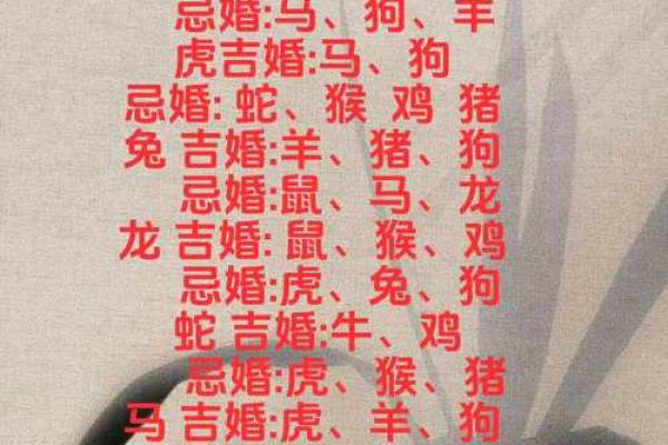 属马女和属兔男的婚姻是否美满