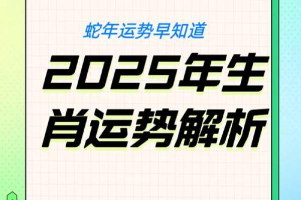 属蛇人运势分析：事业腾飞的关键与避开风险的策略