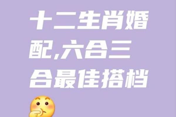 牛与鼠的爱情能否走得长久