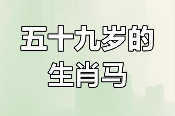 属马人的名字与性格特点解析