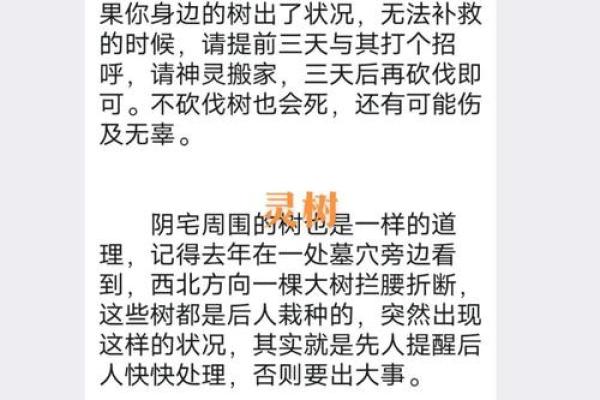 树木在家居风水中的重要性与作用