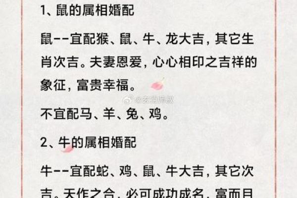 属相相配与人生成功的秘密关系