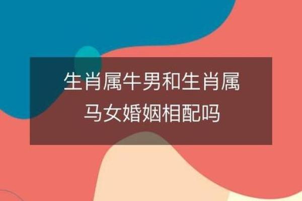牛男本命年与异性缘的变化