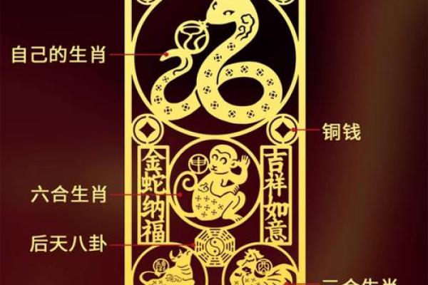 属猪本命年如何化解人际矛盾