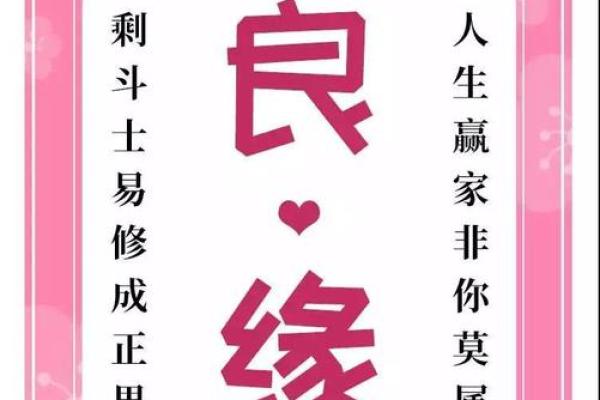猴兔组合的爱情运势与相处之道