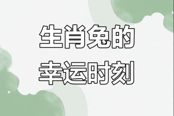 兔年生肖运程：兔肖的幸运月份与挑战时刻