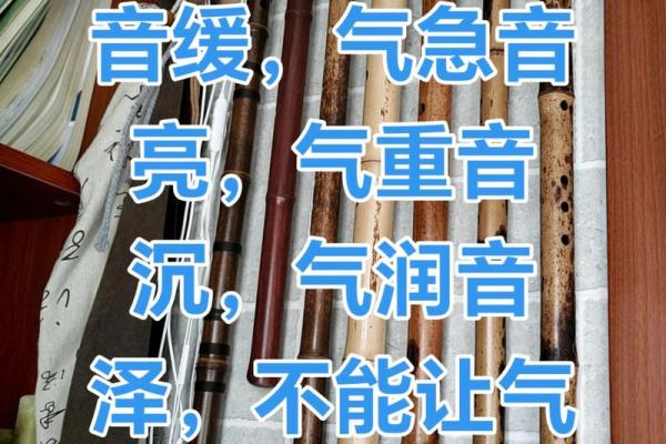 五行音律助你提升气场，试试这首神奇的音乐歌
