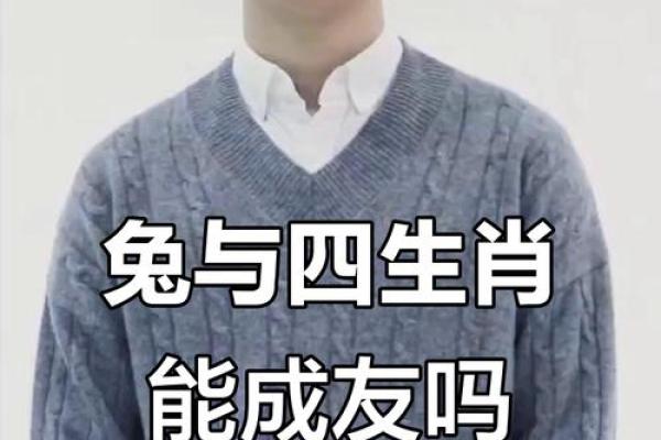 兔与牛能否成为完美配对？深度探讨两者的契合度
