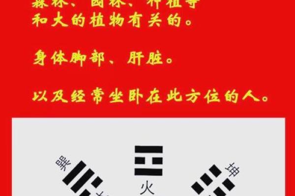 金牛区家居风水：如何选择最佳方位提升运势