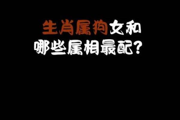 为属狗女孩挑选名字：助力她成长的最佳命名指南
