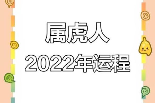 属虎人本命年感情运势大揭秘