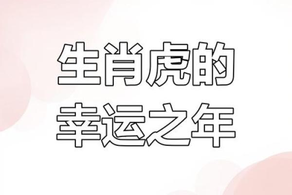 属虎人本命年感情运势大揭秘